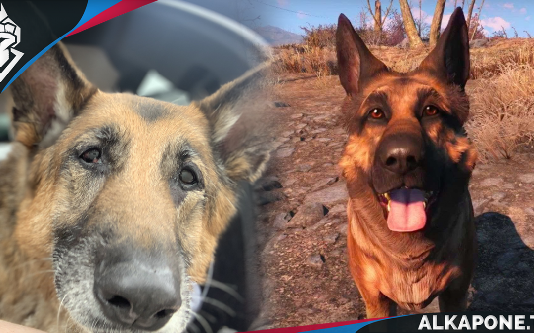 Falleció River, la perrita que inspiró a Albóndiga en Fallout 4