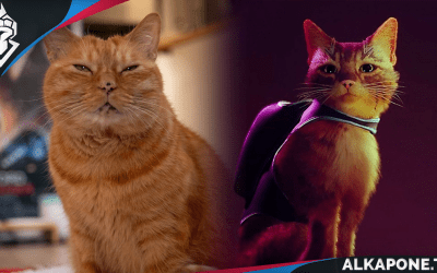 Conoce a Murtaugh, el gato que inspiró al juego Stray