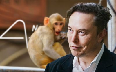 Neuralink bajo investigación federal por el trato que da a los animales